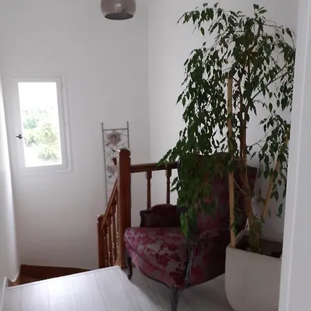 Maison Jolie Orchidee